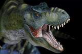 Nanmu Studio Tyrannosaurus Rex Alpha 2.0 Model