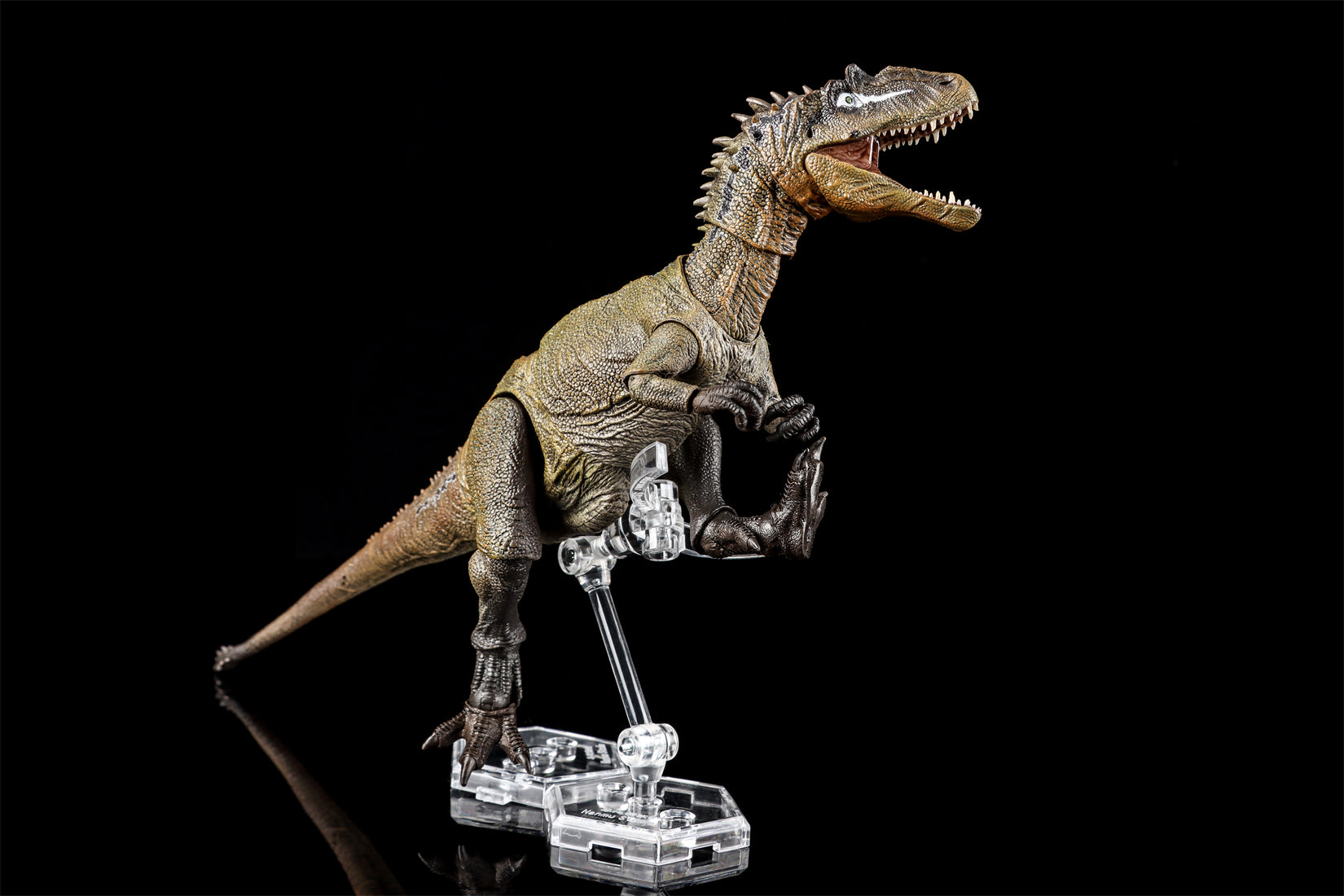 Nanmu Studio Smart Series Allosaurus Action Figure