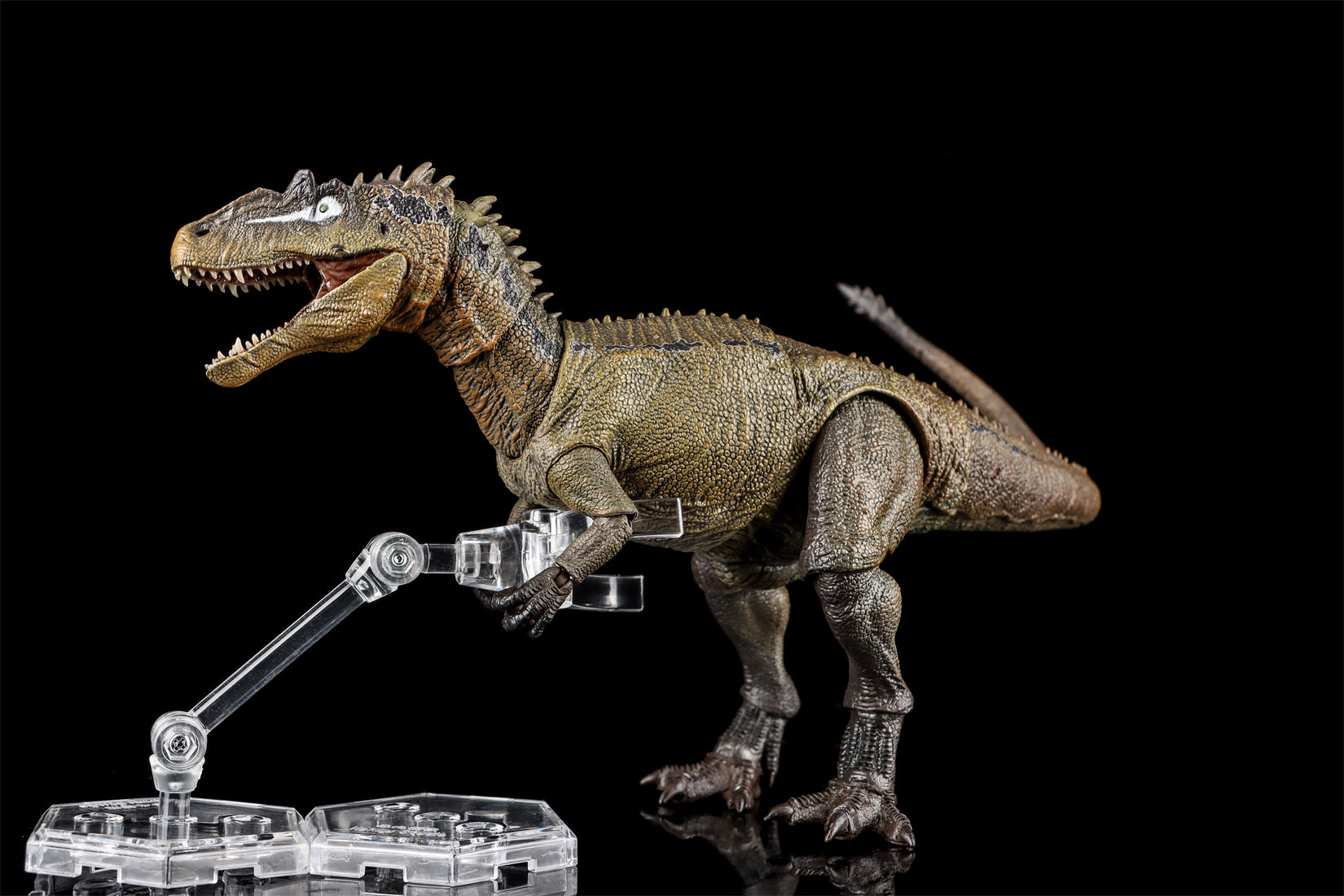 Nanmu Studio Smart Series Allosaurus Action Figure