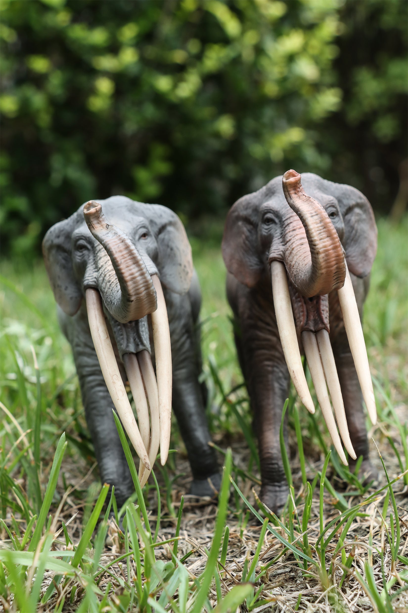 HAOLONGGOOD 1:35 Scale Stegotetrabelodon Model