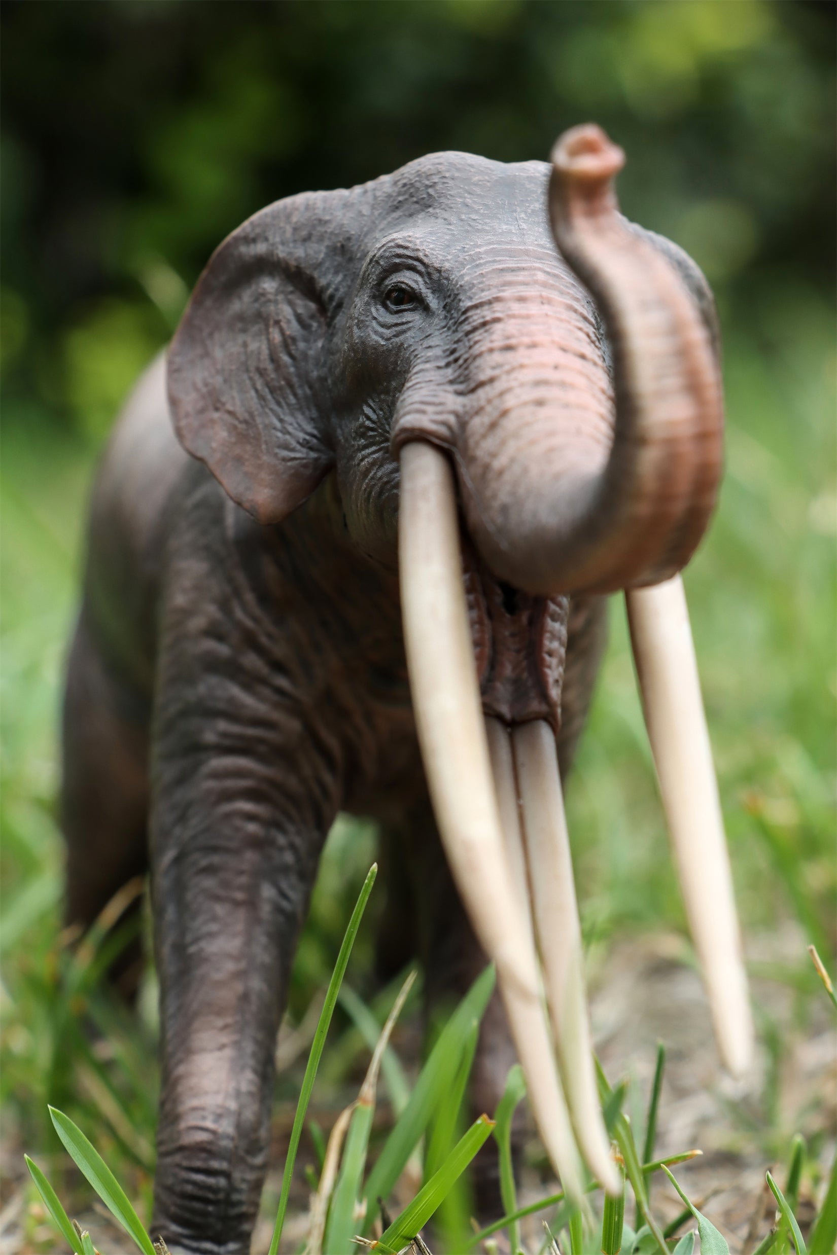 HAOLONGGOOD 1:35 Scale Stegotetrabelodon Model