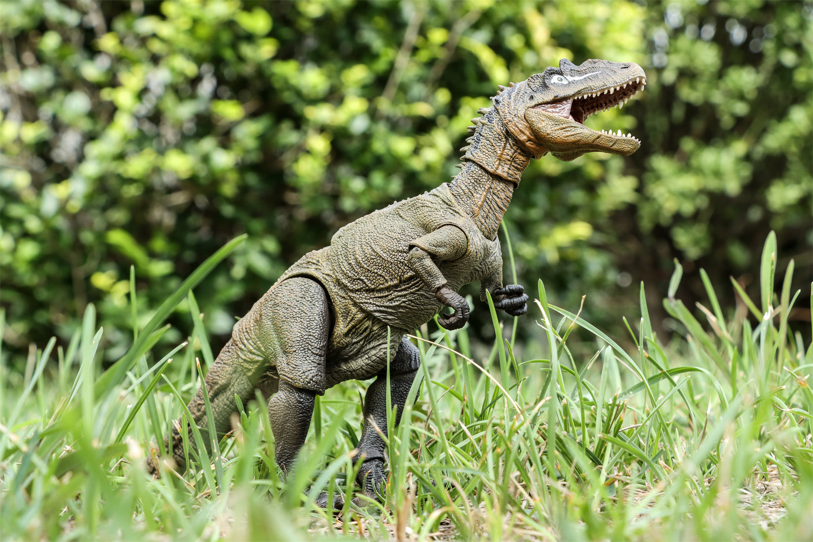 Nanmu Studio Smart Series Allosaurus Action Figure