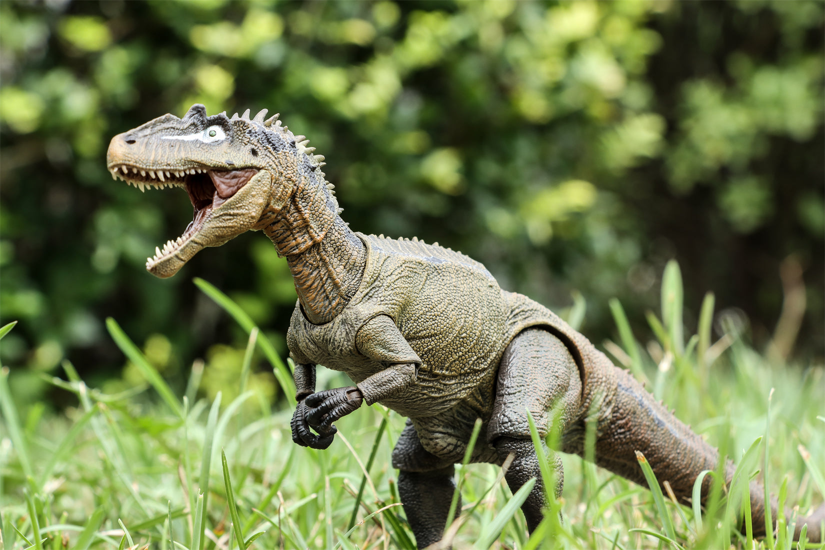 Nanmu Studio Smart Series Allosaurus Action Figure