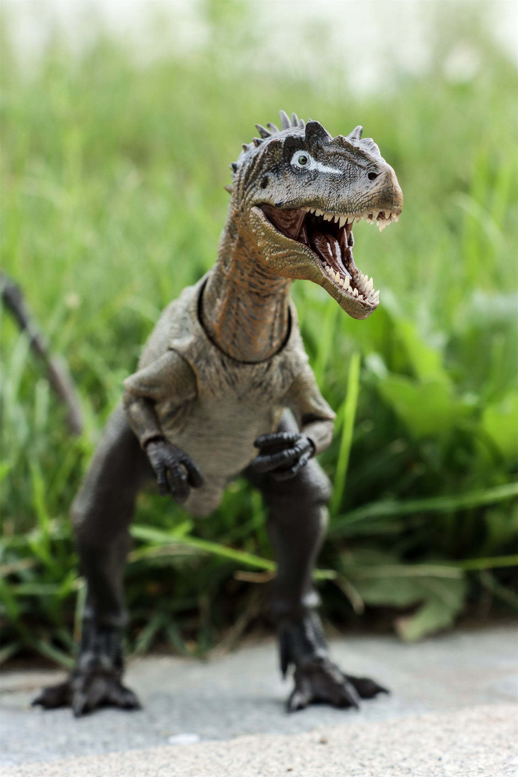Nanmu Studio Smart Series Allosaurus Action Figure