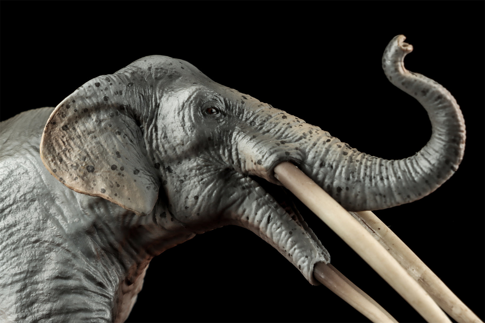 HAOLONGGOOD 1:35 Scale Stegotetrabelodon Model