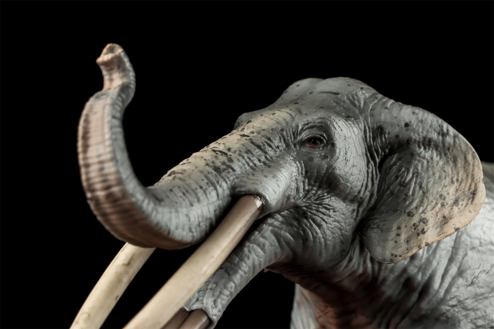 HAOLONGGOOD 1:35 Scale Stegotetrabelodon Model