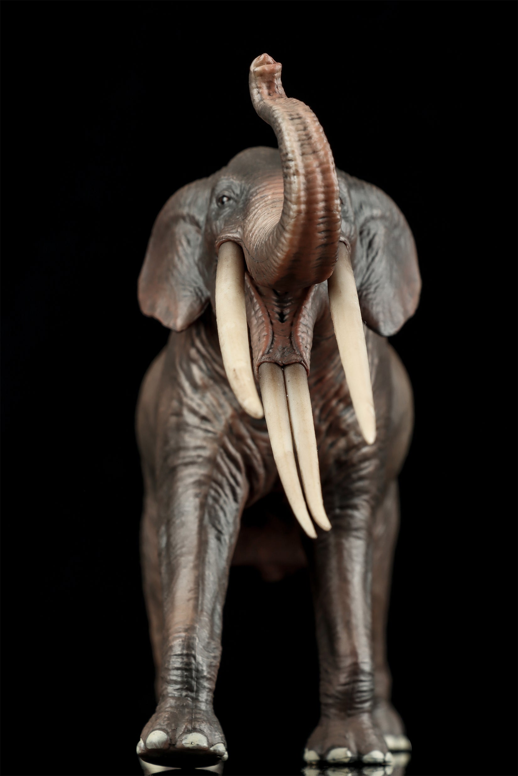 HAOLONGGOOD 1:35 Scale Stegotetrabelodon Model