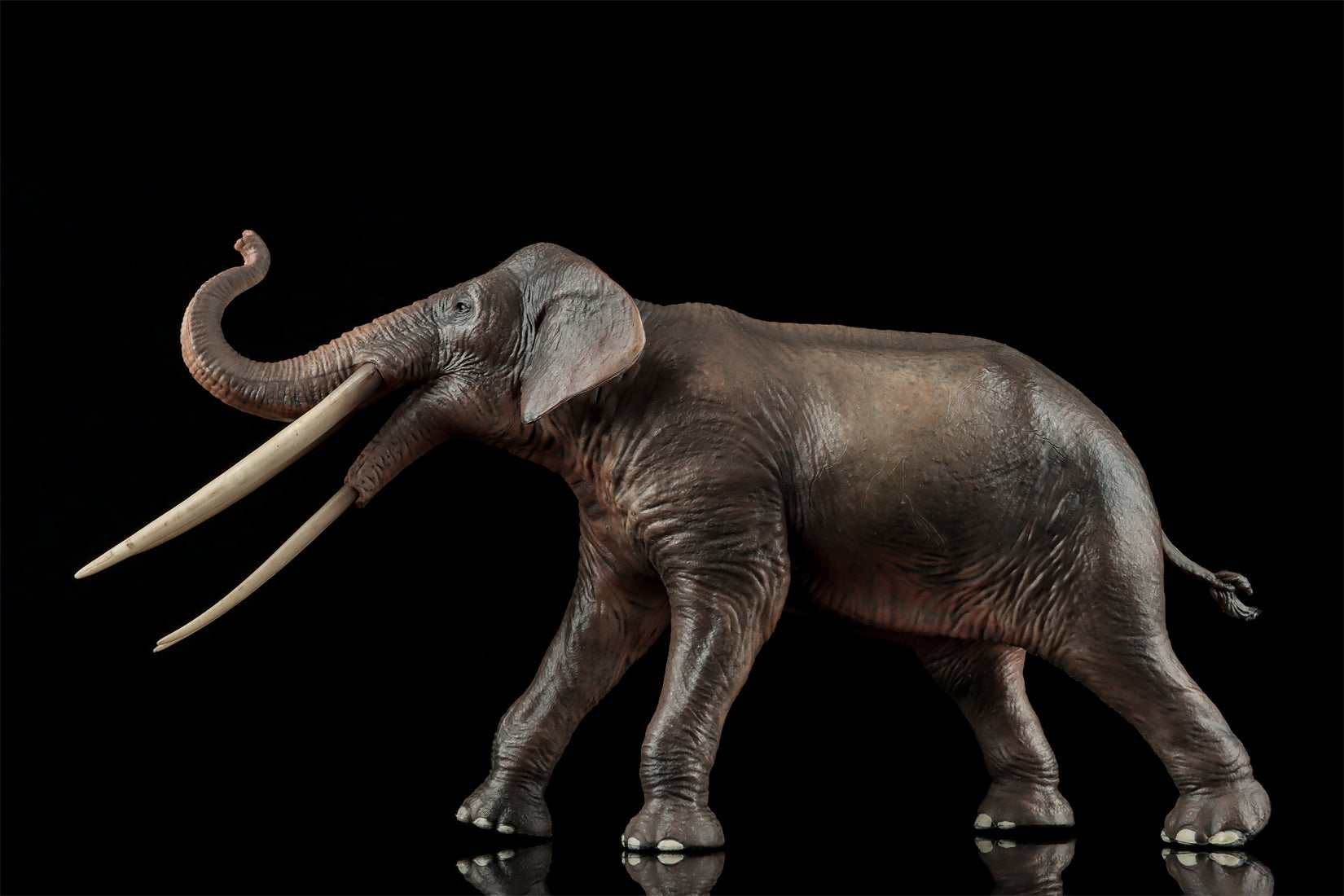 HAOLONGGOOD 1:35 Scale Stegotetrabelodon Model