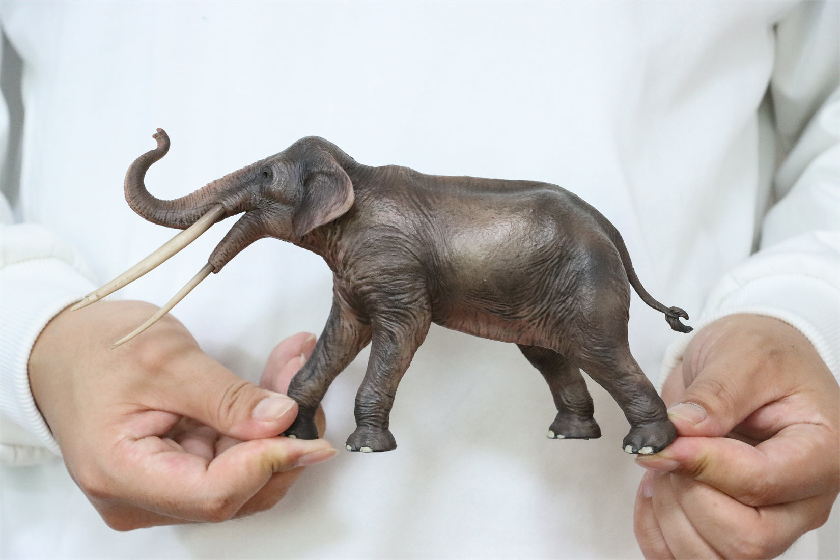 HAOLONGGOOD 1:35 Scale Stegotetrabelodon Model