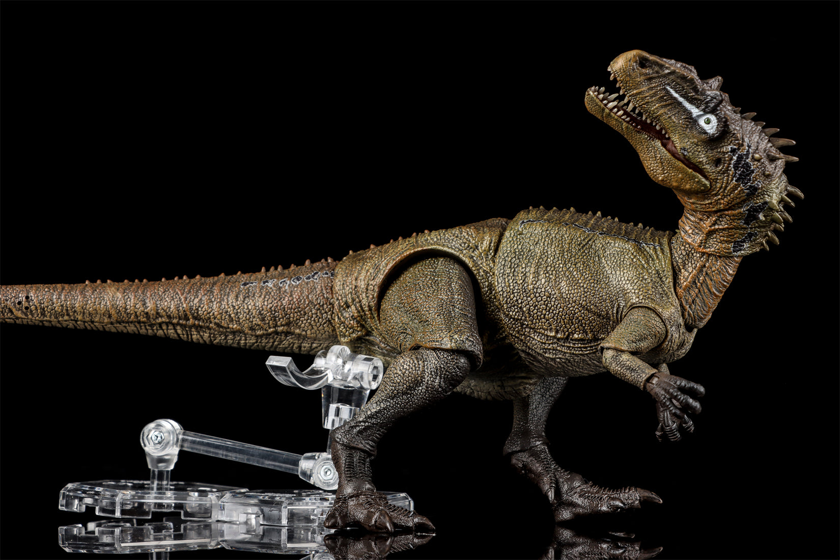 Nanmu Studio Smart Series Allosaurus Action Figure