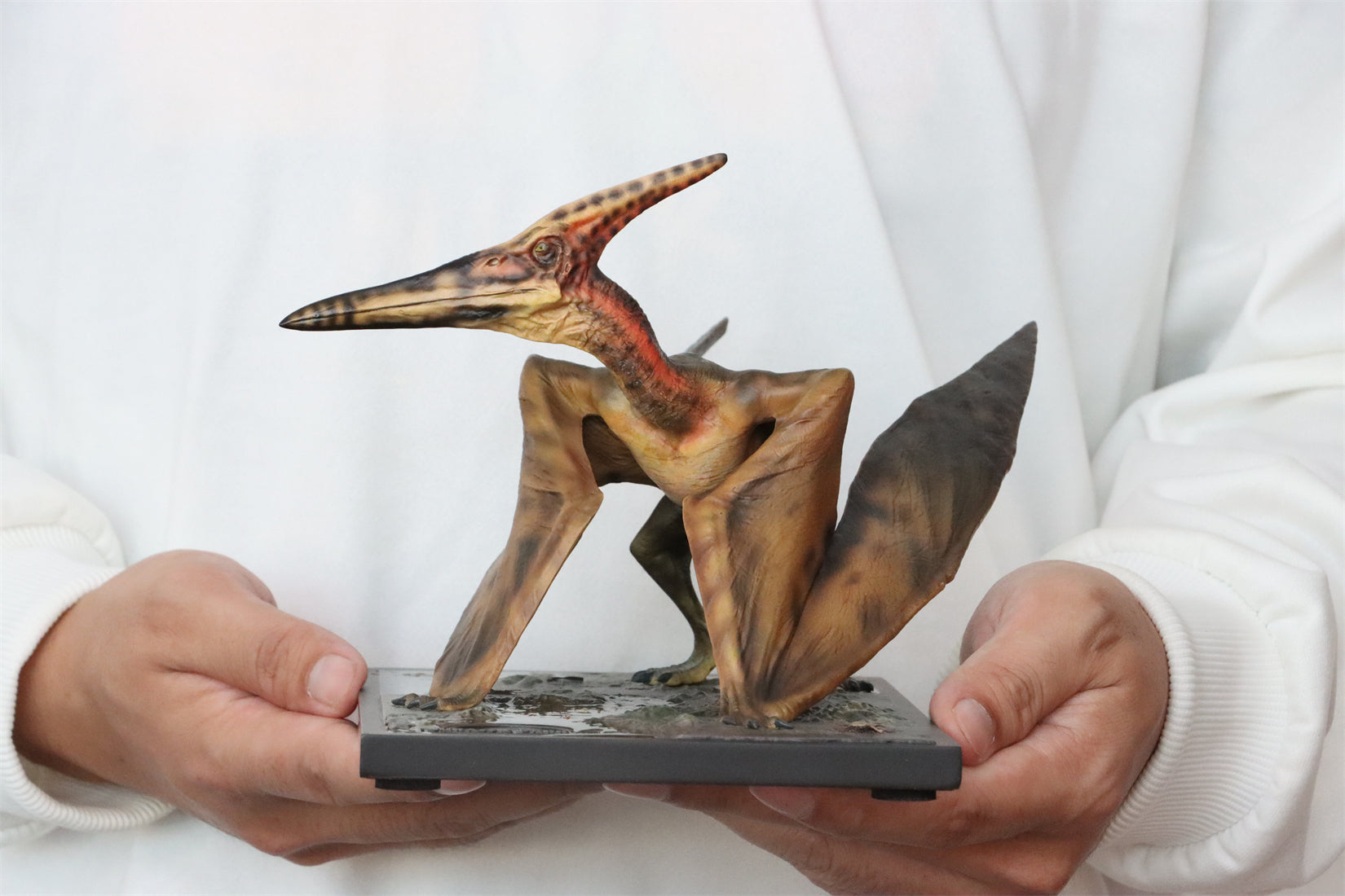 DINO DREAM 1:15 Scale Pteranodon Scene Statue