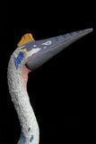 TNG Quetzalcoatlus Cryolophosaurus Saichania Sinosauropteryx Parasaurolophus Figure