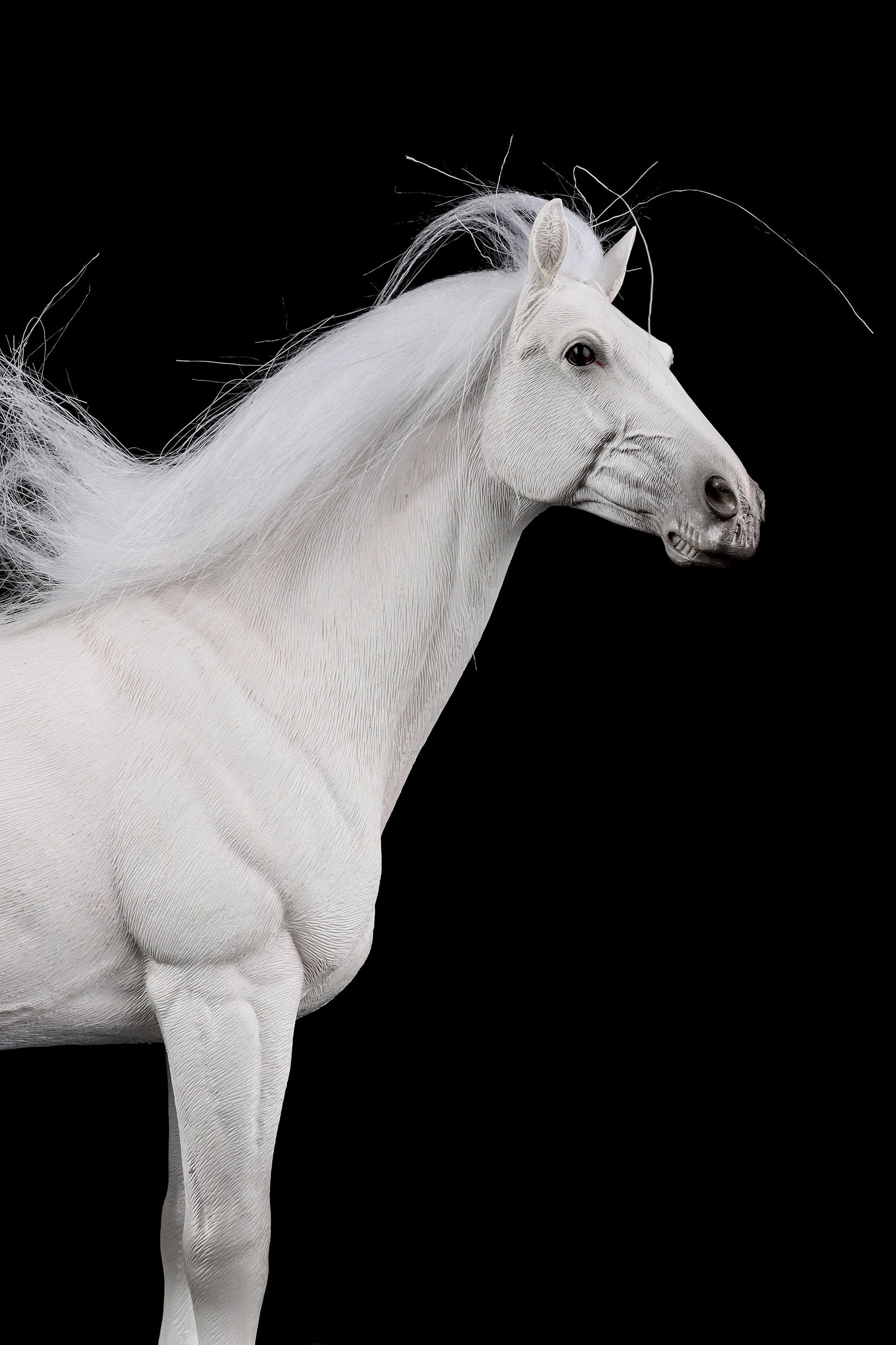 JXK German Hannover Horse Figure