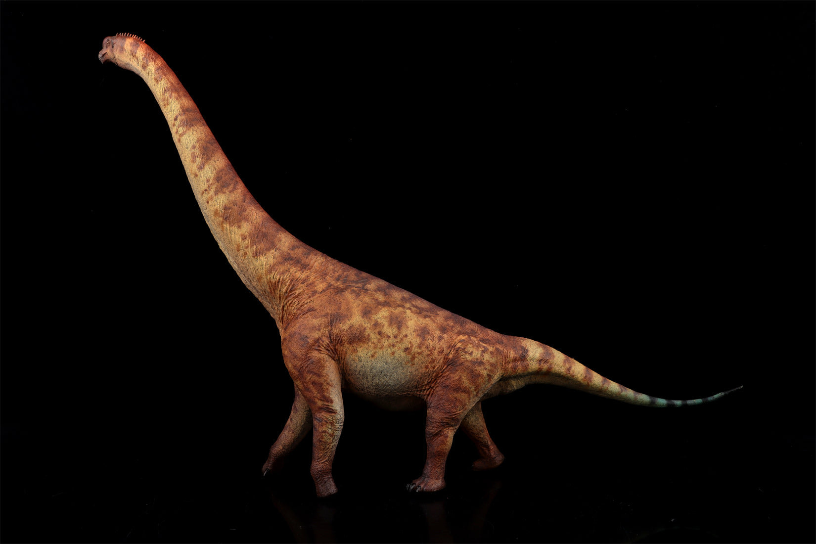HAOLONGGOOD 1:35 Scale Brachiosaurus Model