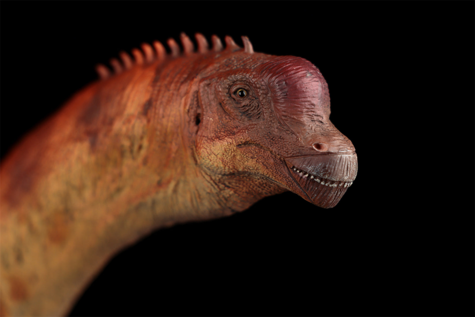 HAOLONGGOOD 1:35 Scale Brachiosaurus Model