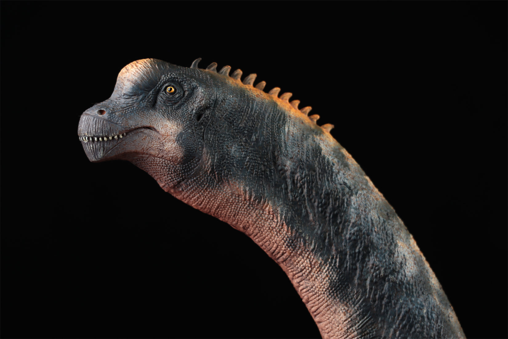 HAOLONGGOOD 1:35 Scale Brachiosaurus Model
