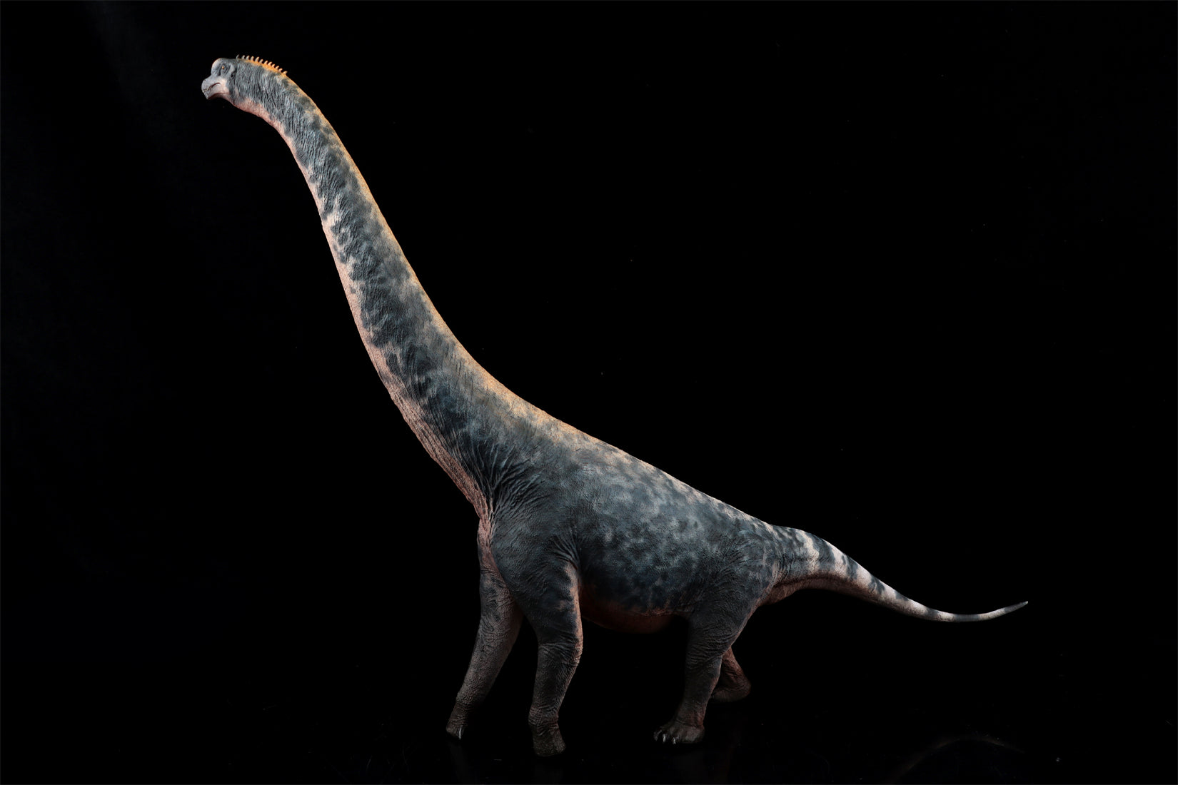 HAOLONGGOOD 1:35 Scale Brachiosaurus Model