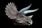 DINO DREAM 1:5 Scale Triceratops Head Statue