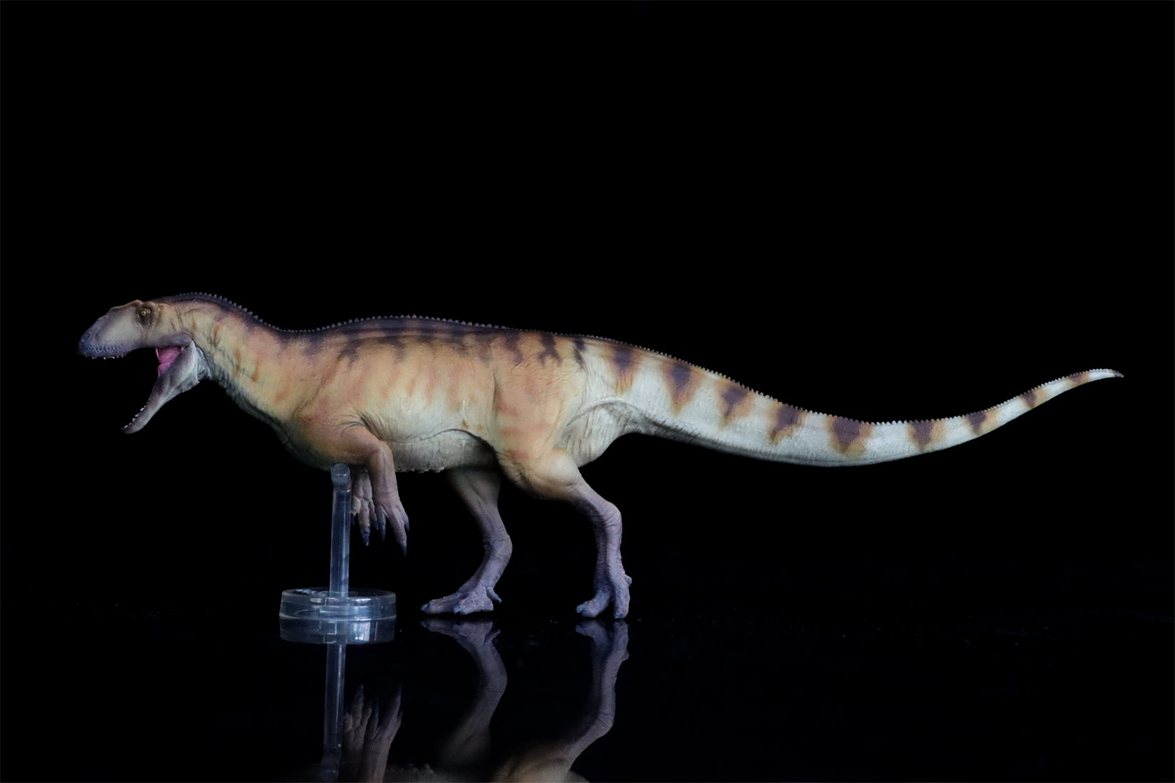 PNSO Yangchuanosaurus shangyouensis Dayong Model