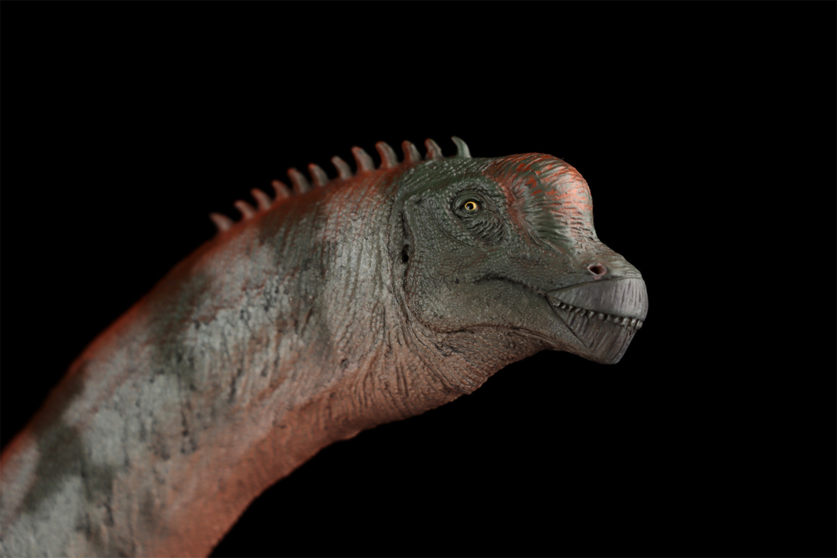 HAOLONGGOOD 1:35 Scale Brachiosaurus Model