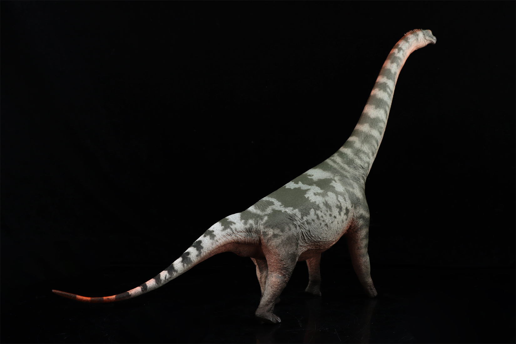 HAOLONGGOOD 1:35 Scale Brachiosaurus Model