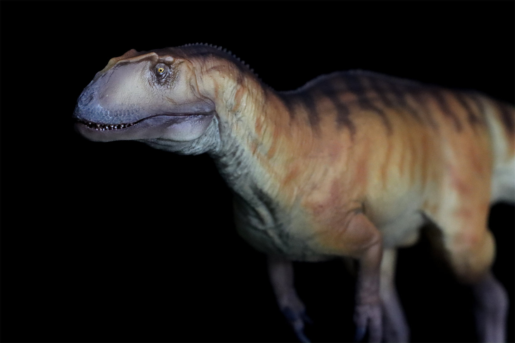 PNSO Yangchuanosaurus shangyouensis Dayong Model