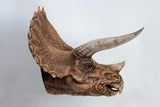 DINO DREAM 1:5 Scale Triceratops Head Statue