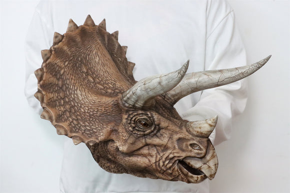 DINO DREAM 1:5 Scale Triceratops Head Statue
