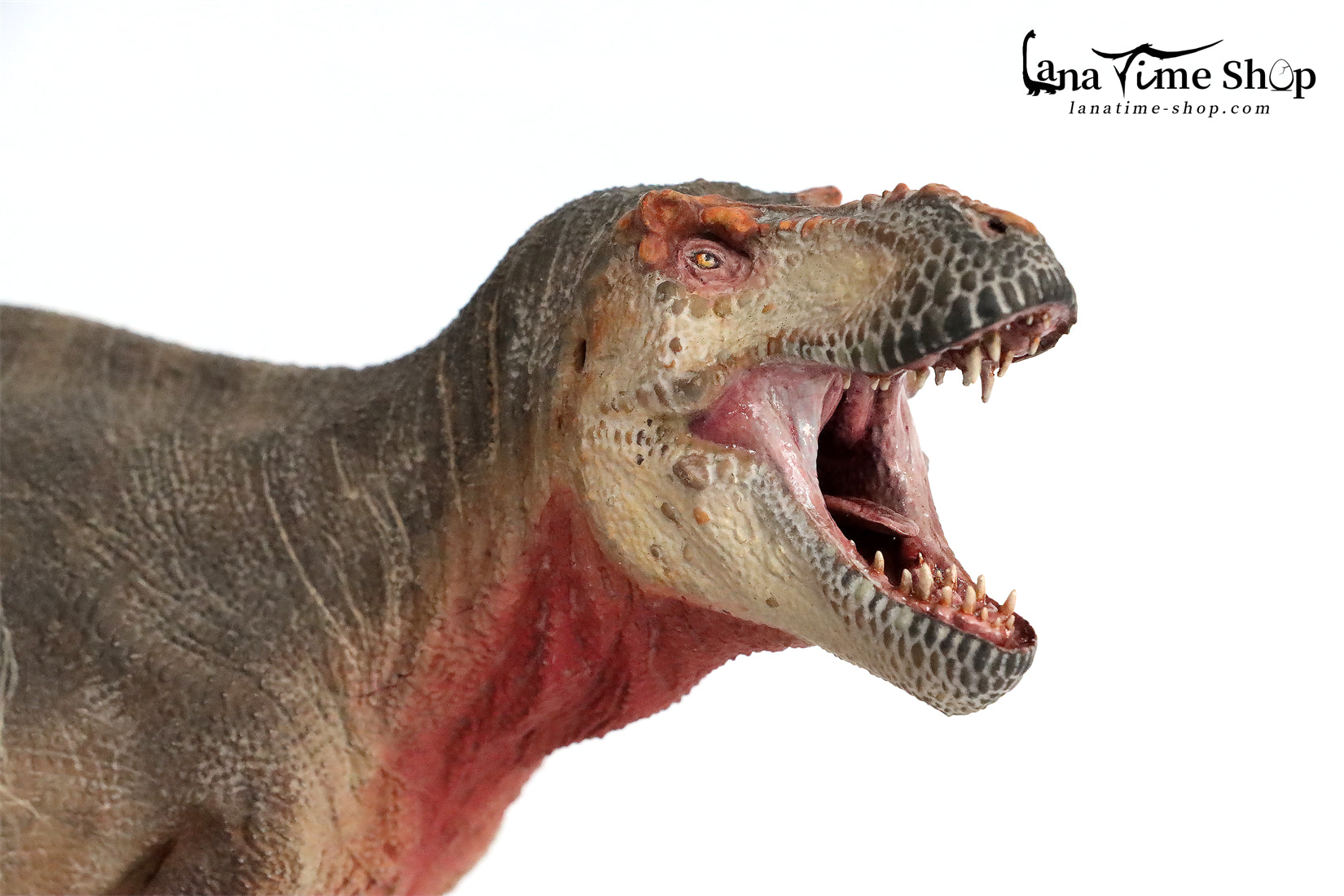Lanatimeshop, Pre-order!!! Eofauna 1:35 Scale Tyrannosaurus SUE Model  Material: PVC Scale: 1/35 Size: 13.3 L(340MM) X 5.1 (130 MM) Price: 49.99  USD