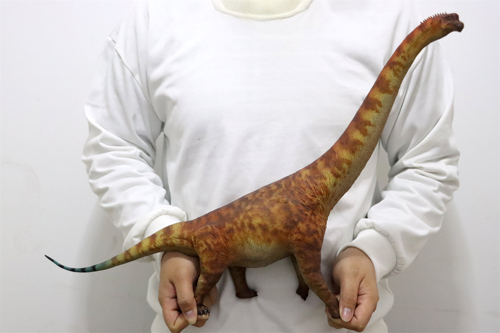 HAOLONGGOOD 1:35 Scale Brachiosaurus Model