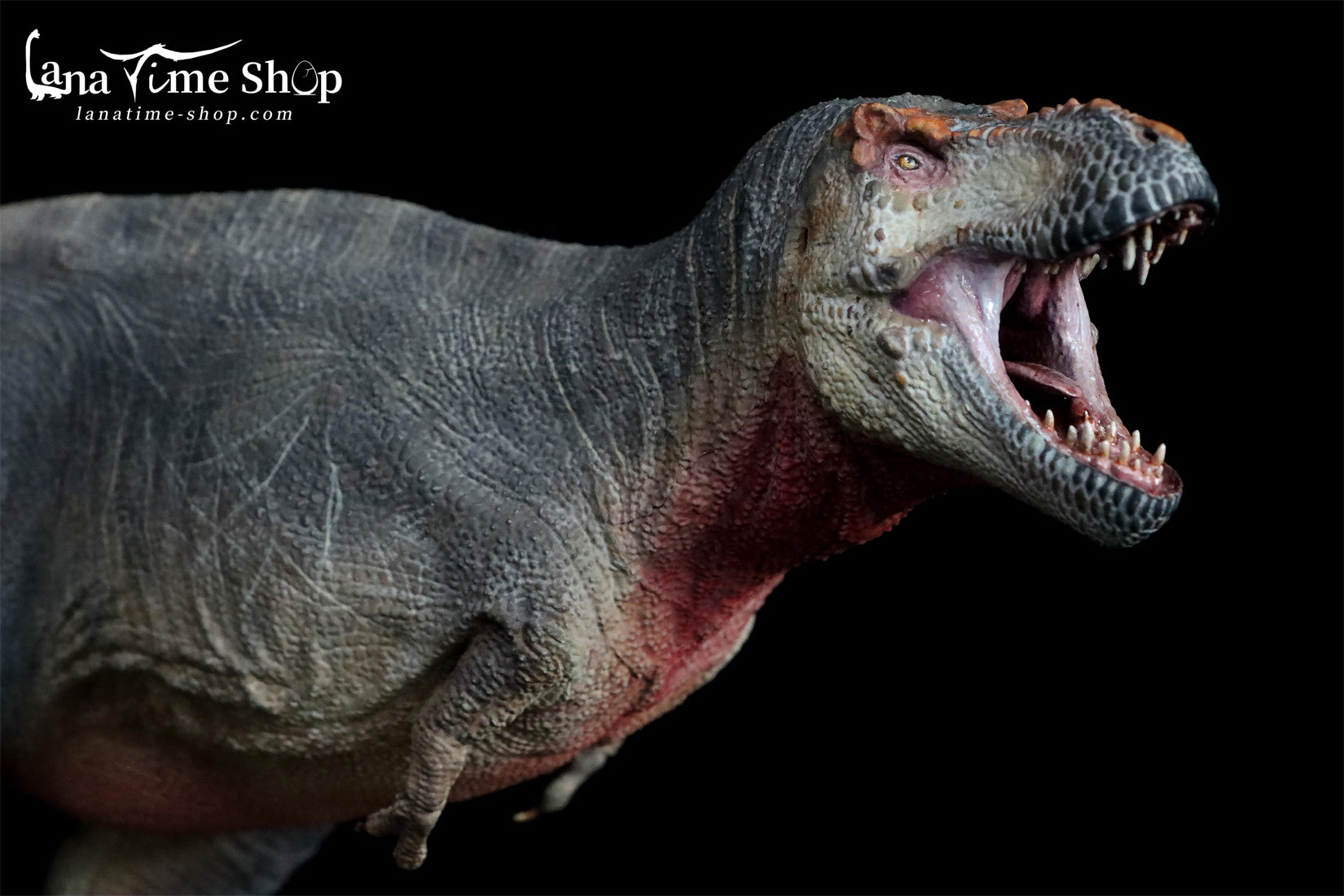 Lanatimeshop, Pre-order!!! Eofauna 1:35 Scale Tyrannosaurus SUE Model  Material: PVC Scale: 1/35 Size: 13.3 L(340MM) X 5.1 (130 MM) Price: 49.99  USD