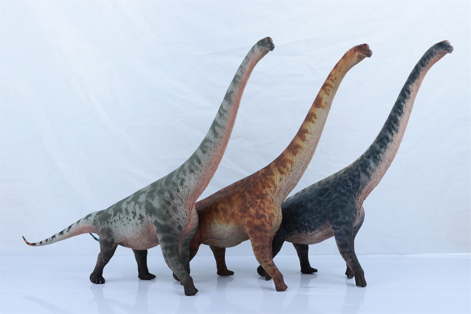 HAOLONGGOOD 1:35 Scale Brachiosaurus Model