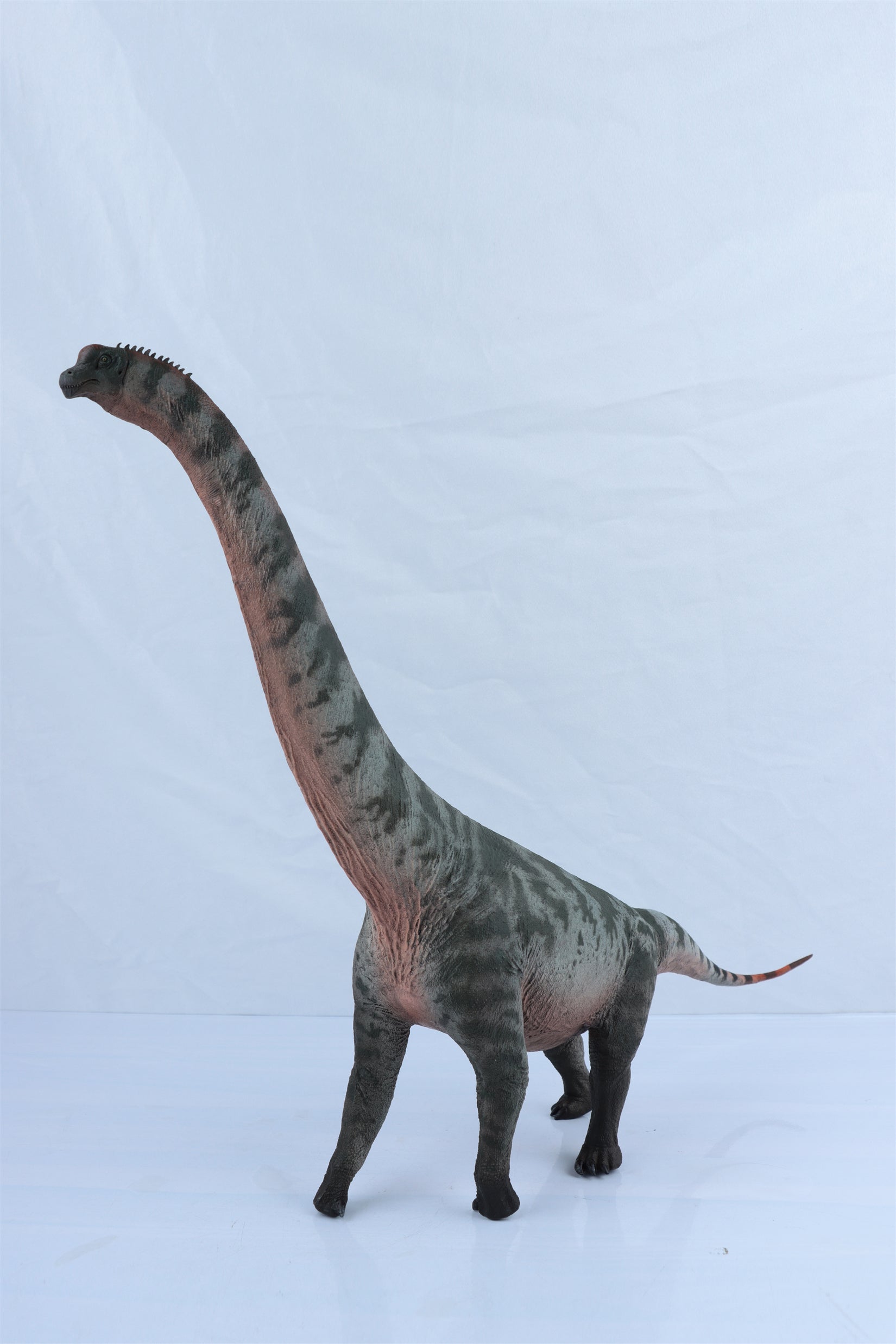 HAOLONGGOOD 1:35 Scale Brachiosaurus Model