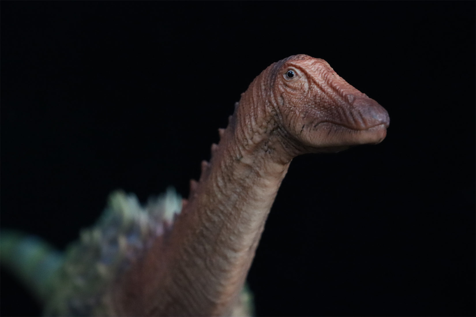 HAOLONGGOOD 1:35 Scale Ampelosaurus Model