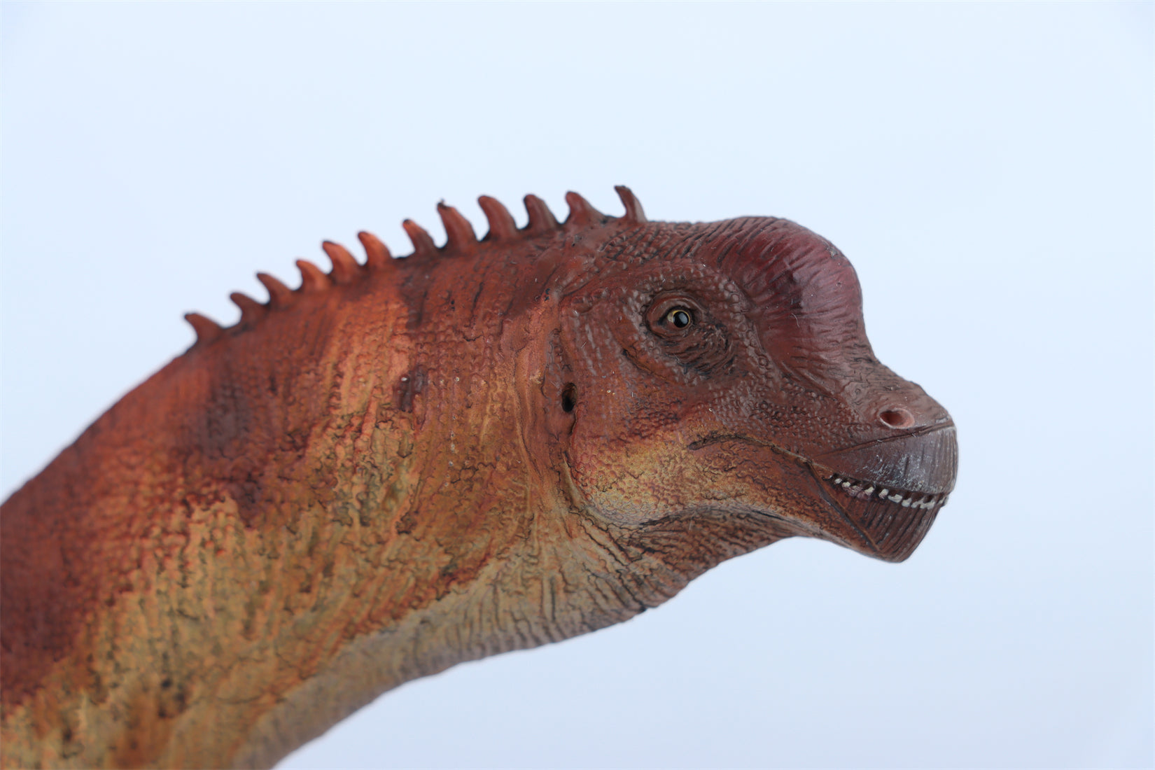 HAOLONGGOOD 1:35 Scale Brachiosaurus Model