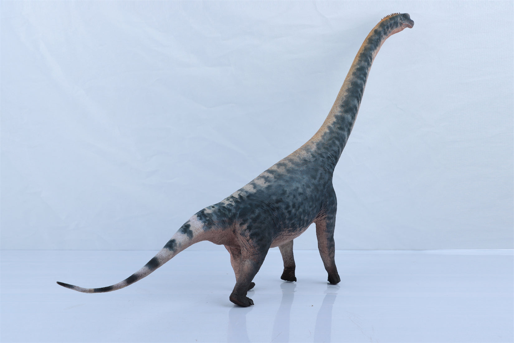 HAOLONGGOOD 1:35 Scale Brachiosaurus Model