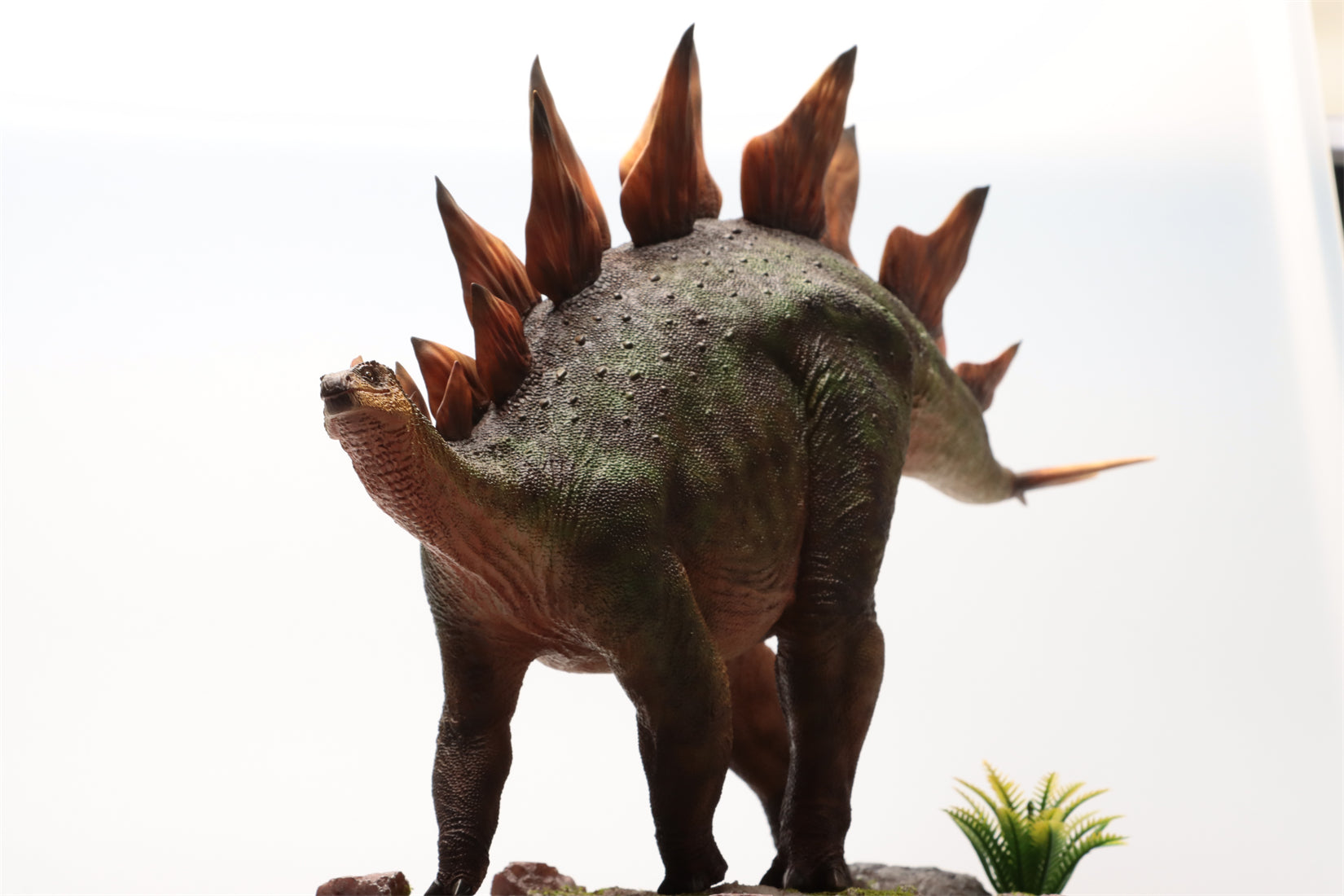HAOLONGGOOD 1:20 Scale Stegosaurus Model
