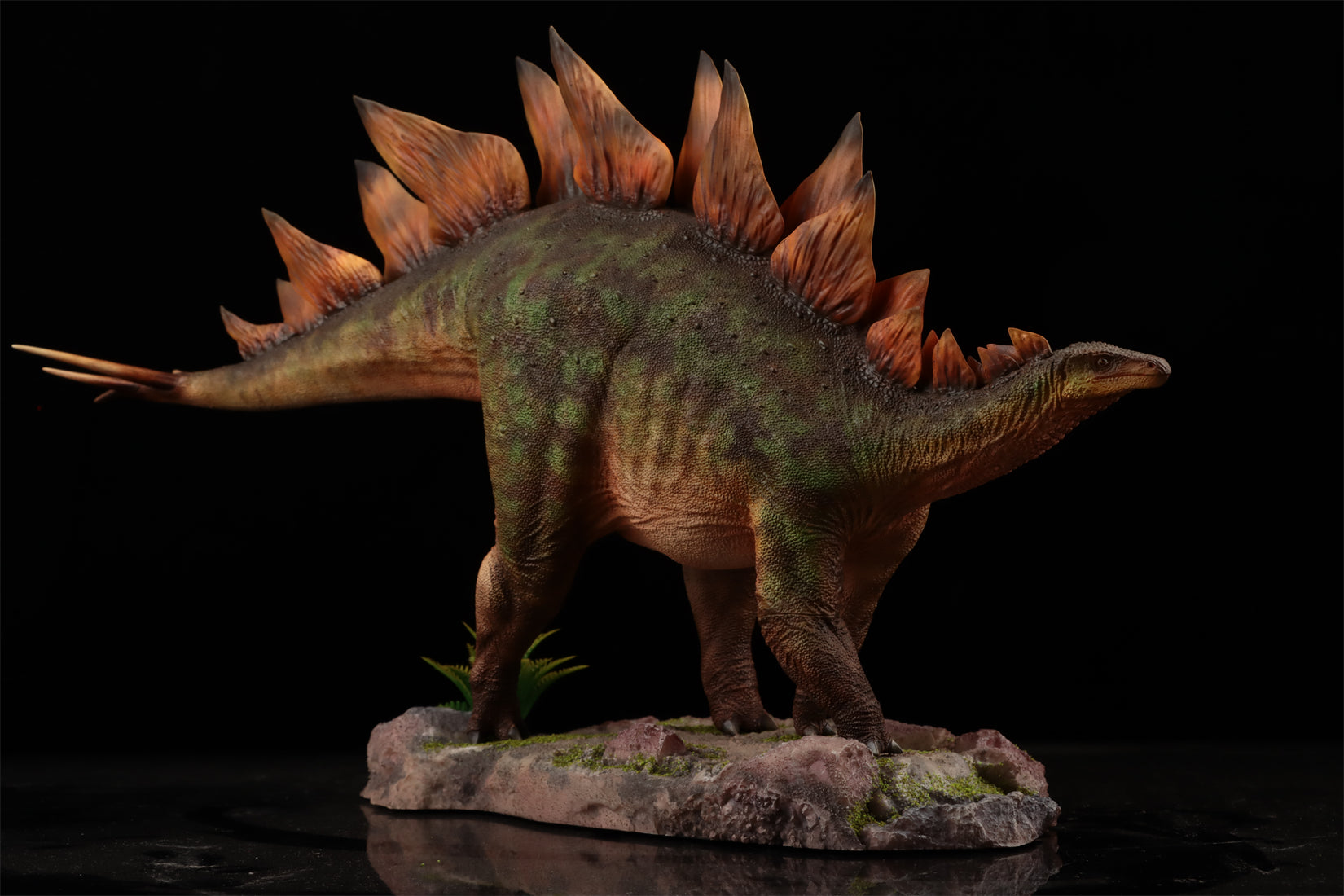 HAOLONGGOOD 1:20 Scale Stegosaurus Model
