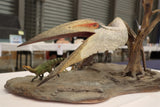MuSee Studio 1/15 Scale Hatzegopteryx Hunting Microhadrosaurus Scene Statue