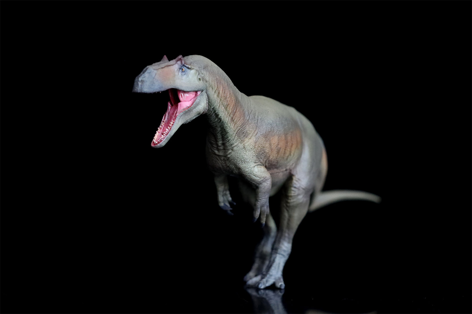 PNSO Saurophaganax Donald Model