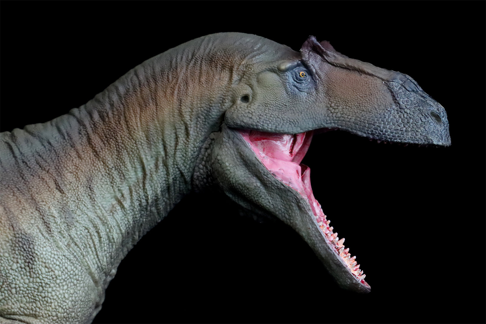 PNSO Saurophaganax Donald Model