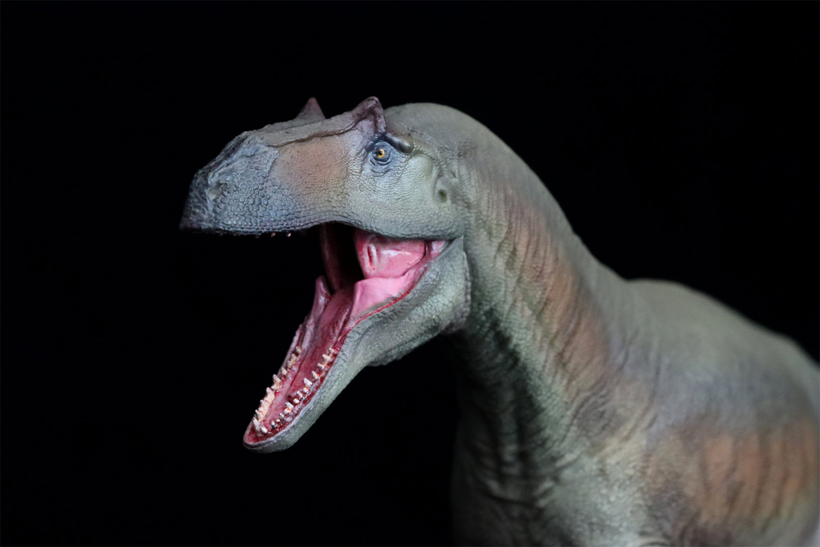 PNSO Saurophaganax Donald Model