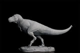 Sumeru Studio 1/35 Scale Tyrannosaurus Rex "Reg" Model