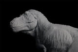 Sumeru Studio 1/35 Scale Tyrannosaurus Rex "Reg" Model
