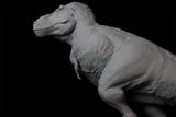 Sumeru Studio 1/35 Scale Tyrannosaurus Rex "Reg" Model