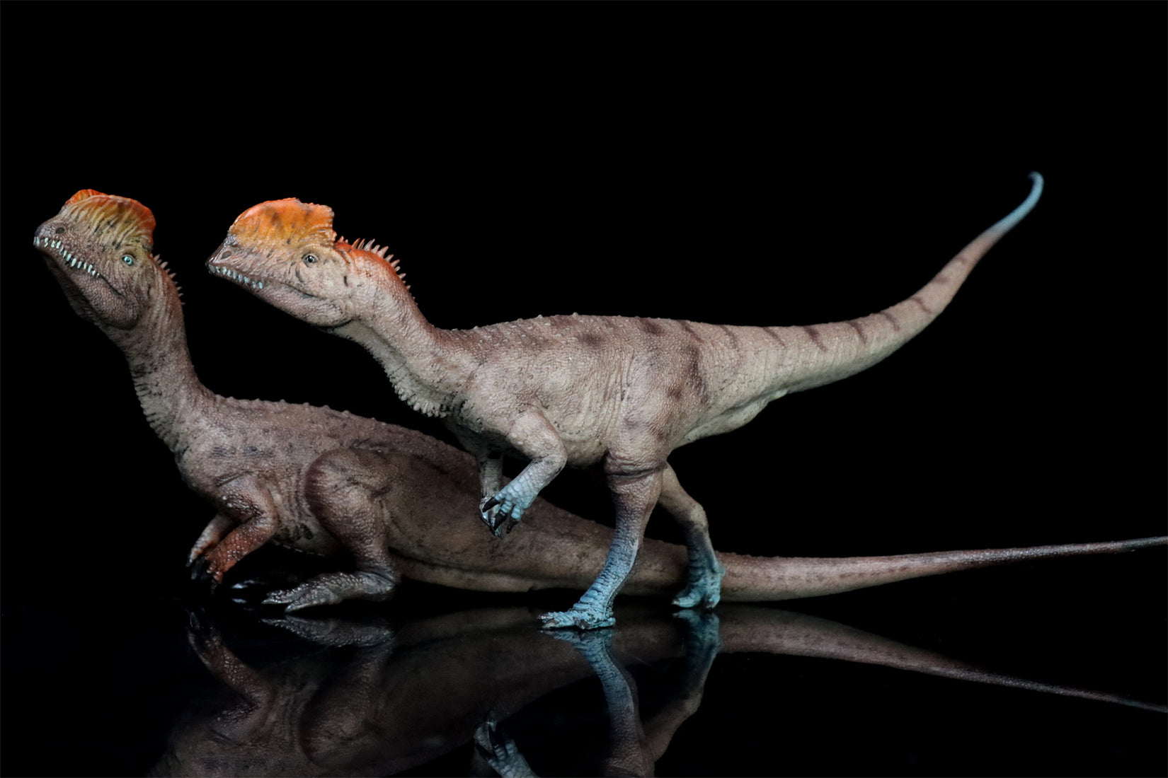 HAOLONGGOOD 1:35 Scale Dilophosaurus Pair Model
