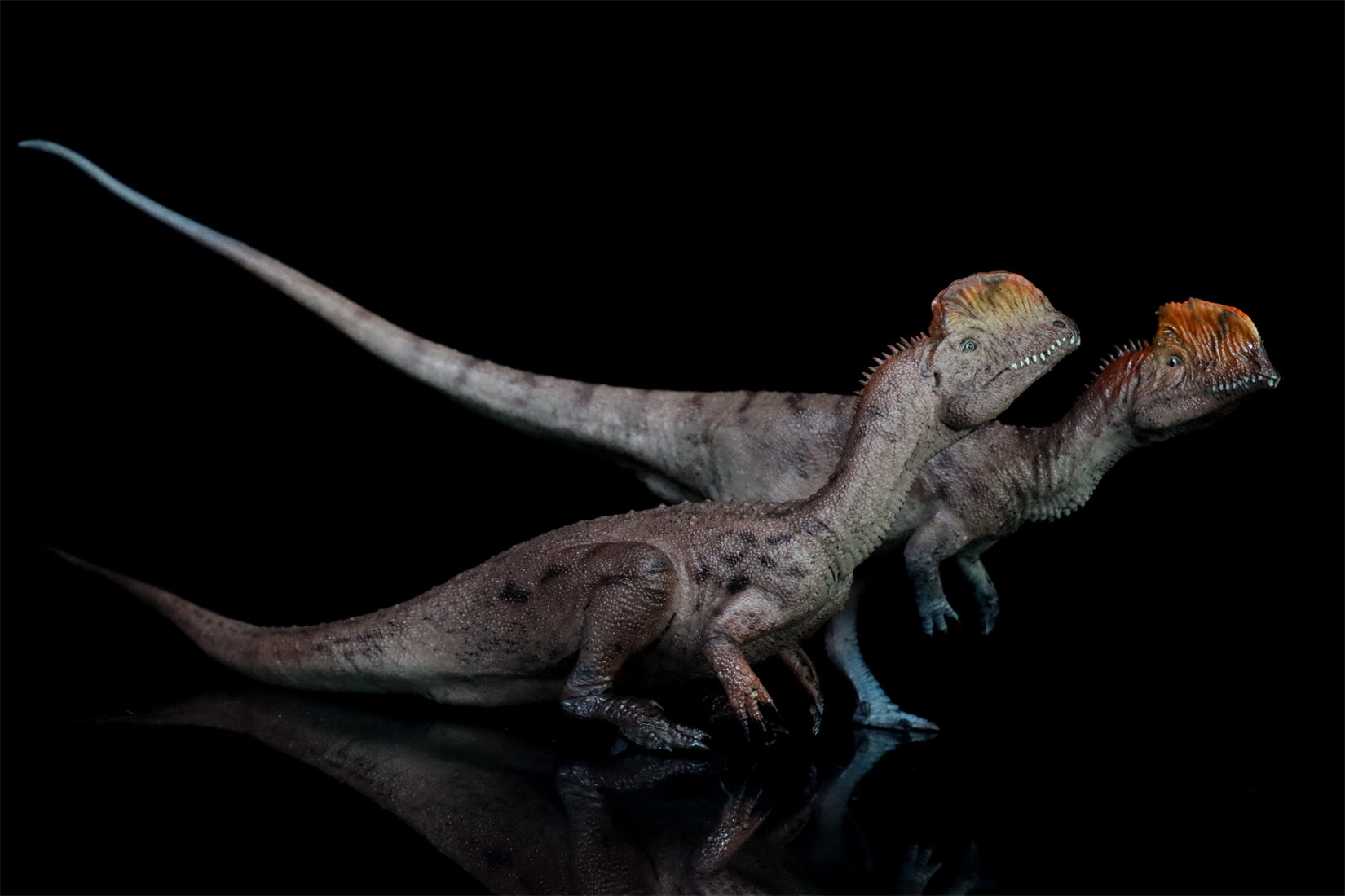 HAOLONGGOOD 1:35 Scale Dilophosaurus Pair Model