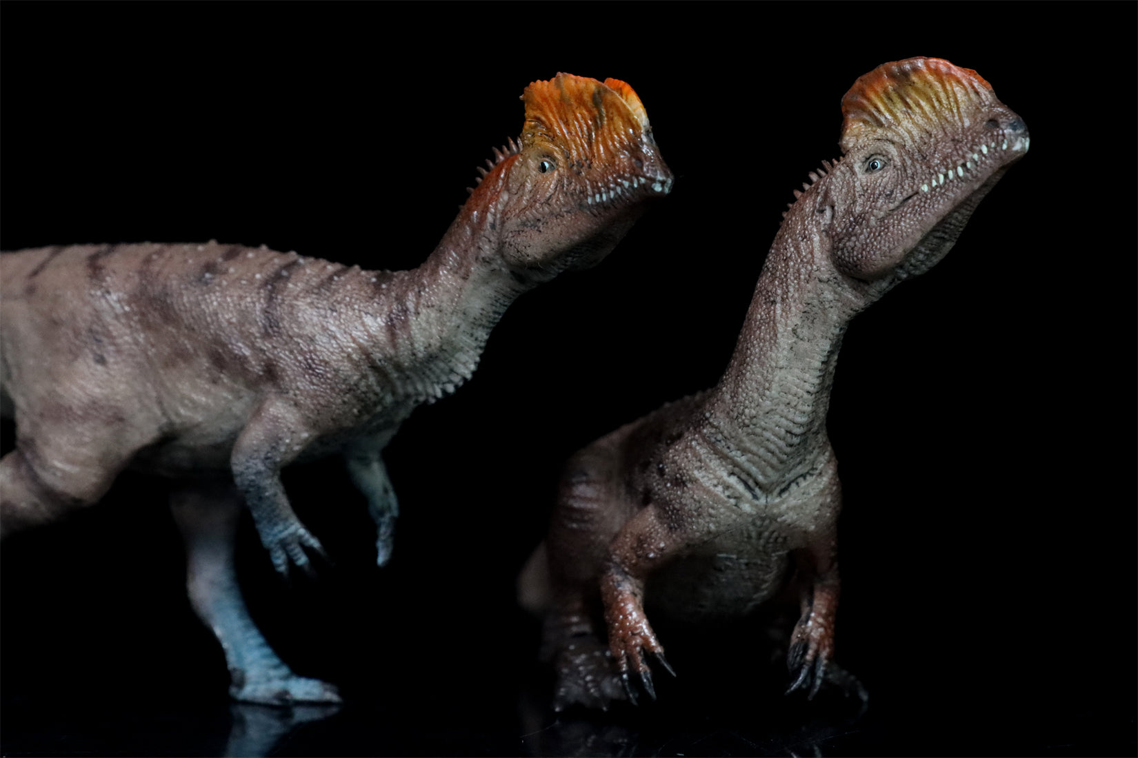 HAOLONGGOOD 1:35 Scale Dilophosaurus Pair Model