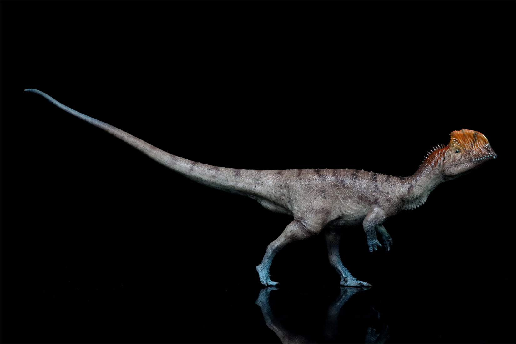 HAOLONGGOOD 1:35 Scale Dilophosaurus Pair Model