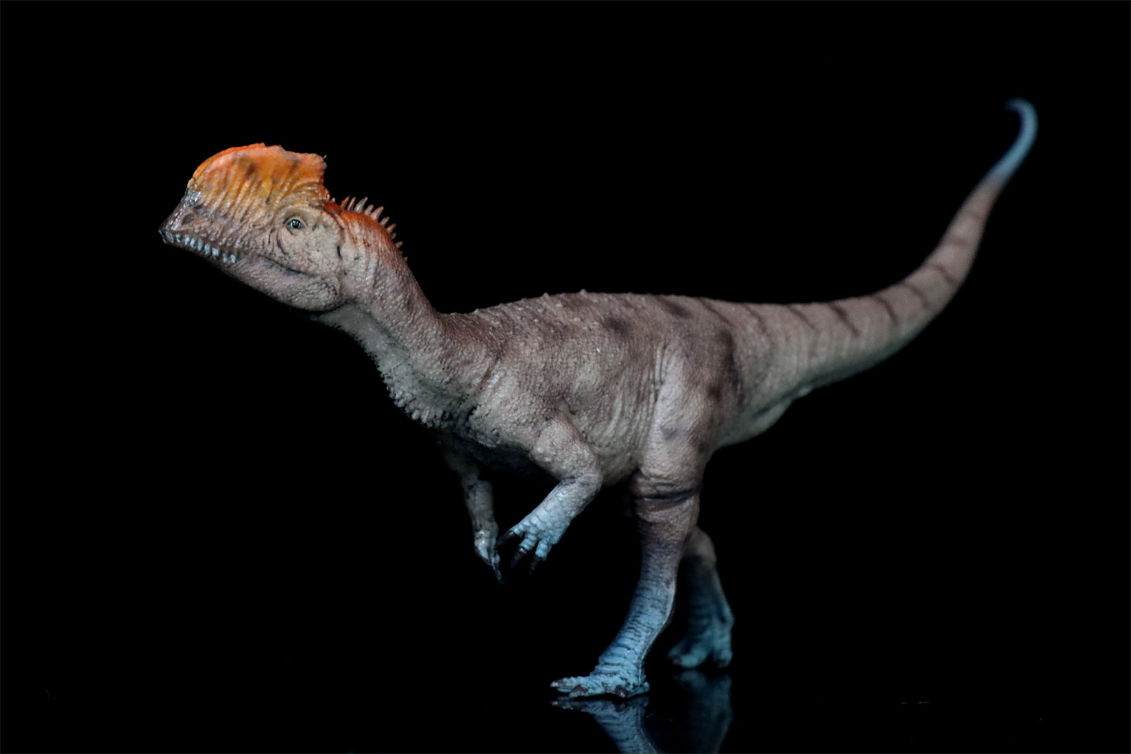HAOLONGGOOD 1:35 Scale Dilophosaurus Pair Model
